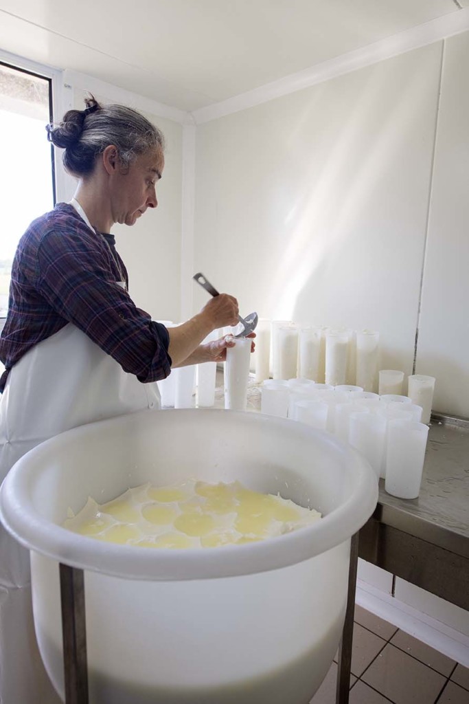 FLORIANE FAVROT Fromage De Chèvre En Mayenne 53 Imlg 2