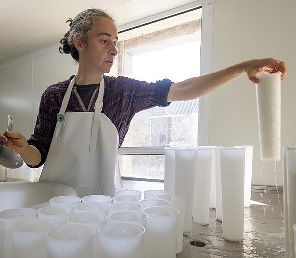 FLORIANE FAVROT Fromage De Chèvre En Mayenne 53 Imlg 3