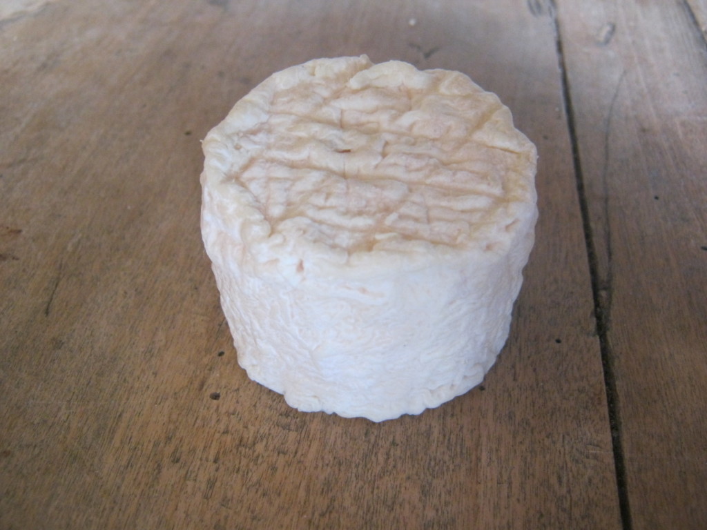 FLORIANE FAVROT Fromage De Chevre En Mayenne 53 IMG 1645